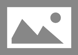 360Life Sustainable Luxury Homes logo