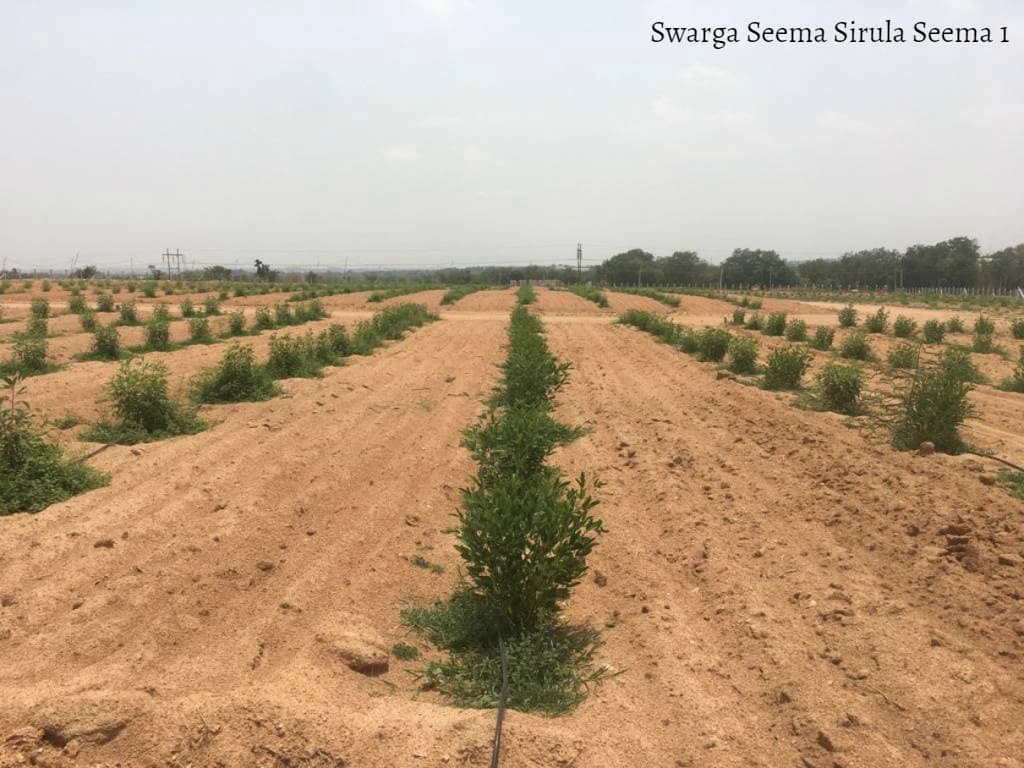 Swarga Seema Sirula Seema 1 - plot in hyderabad | Housystan