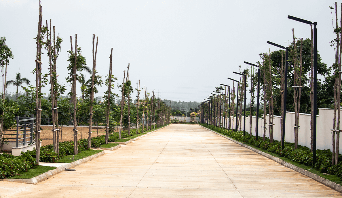 Sterling Palm Retreat - Property in hyderabad - Photo 2 | Housystan