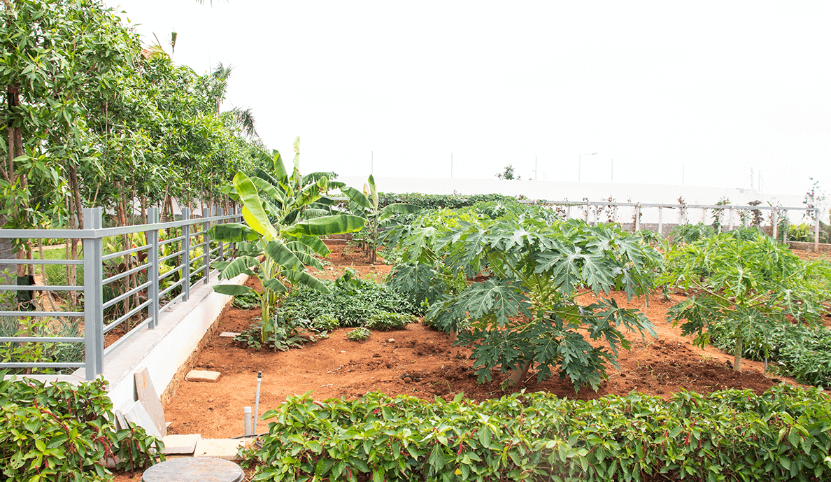 Sterling Palm Retreat - Property in hyderabad - Photo 9 | Housystan